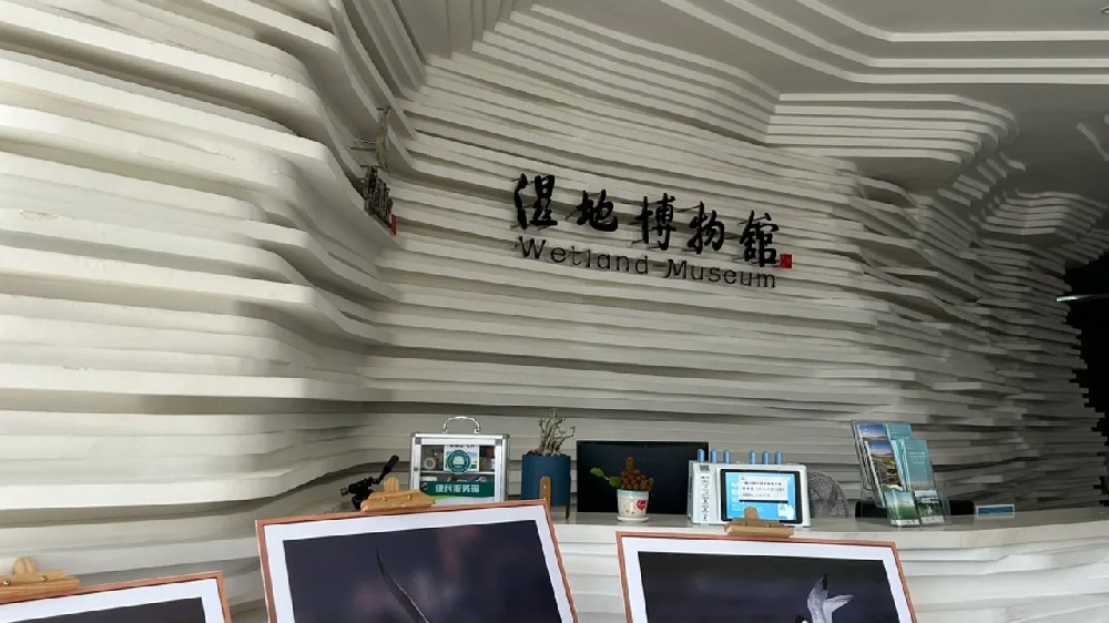 專注、專業(yè)、專心，閩江口濕地博物館項(xiàng)目施工